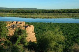 Kruger National Park river