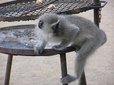 Caravan and camp sites