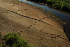 Kruger National Park riverbank