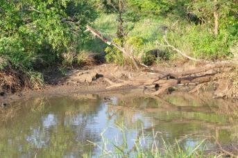 Kruger National Park lake