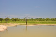 Kruger National Park lake
