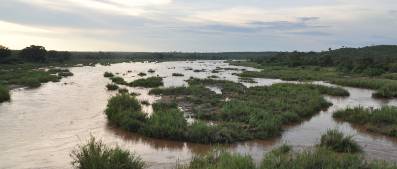 Kruger Park waterway