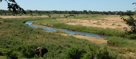 Letaba River view from Letaba Rest Camp